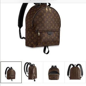 Louis Vuitton back pack 100% authentic